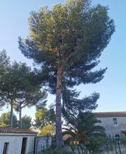 La Cime en Moins image 3