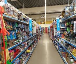Rofu Kinderland Wittlich Bild 3