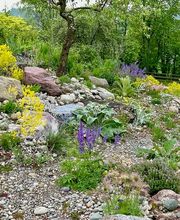 Wildblumendienst Bild 9