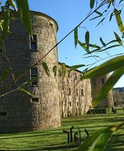 Château des Ducs de Joyeuse image 13