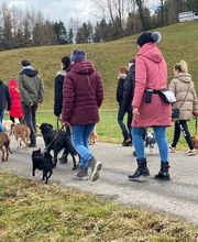 A-Z-Hundetraining Bild 14