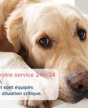 VetoAdom Sarl Bild 9