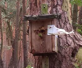 bioControl Schädlingsbekämpfung - Christian Hackel  Blossin  Deutschland