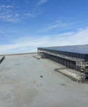 Taubenschutz & Consulting Bild 4