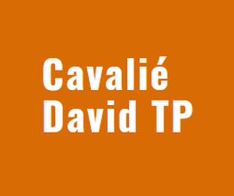 Cavalie David image 2