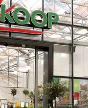 Bodegraven Welkoop NF