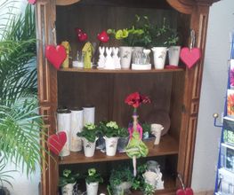 Julias-Blumenwelt Bild 4