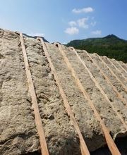 Gonçalves Alfredo image 3