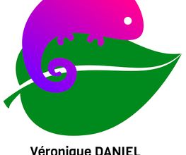 Daniel Véronique image 3