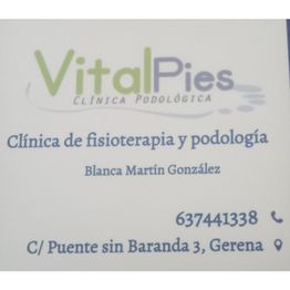 vitalpies_logo.png