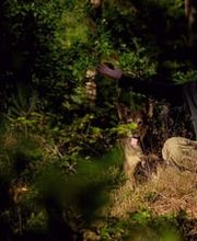 Geistheiler Niedersachsen | Oliver Wattenberg Bild 2