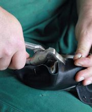 andira Sanitätshaus Usingen Bild 4