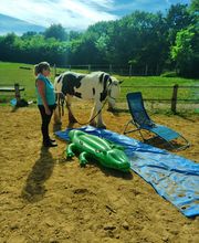 Les Poneys de Monthoiron image 14