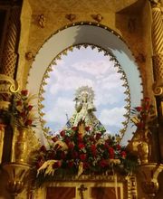 Floristería Campo y Jardín imagen 5