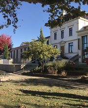 Kokon Immobilier image 10