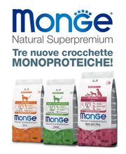 INTERFOOD di Giampietro Ceppi Bild 13