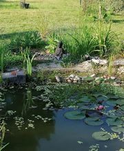 Les Jardins D'helya image 1