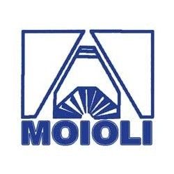 Moioli S.r.l. logo