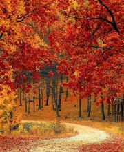 Rohrbach P. AG Bild 1