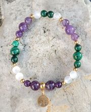 Coralie Shop image 17