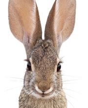 Balmer-Etienne AG Bild 3