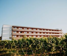Sonnenhotel Weingut Römmert Bild 1