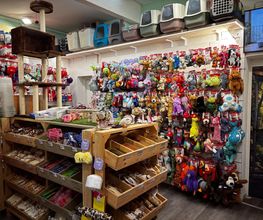 Gallery Cliente