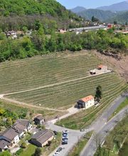 Cantine Ghidossi Sagl Bild 4