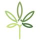 simple-grow.de e.k