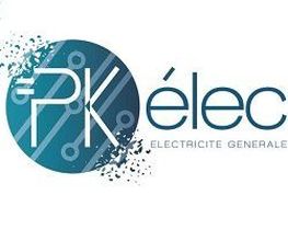 PKelec image 2