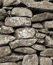 Dietz Gartenbau GmbH Bild 8