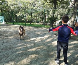 C.A PRO CANIN image 3