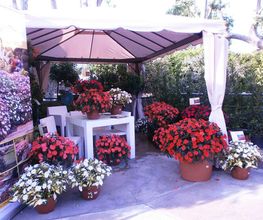 garden-arenas-plantas-04.jpg