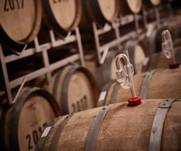 Weingut Hubertus M. Apel Bild 7
