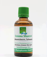 Gesundheitsberatung VIVAWENZEL Bild 8