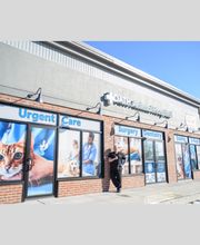 Oath Animal Hospital image 16