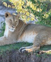 Explorer Reisebüro Essen Bild 1