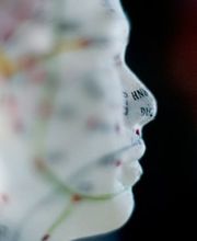 VERMOT-DESROCHES, MALVINA Bild 4