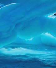 Allo Antennes image 2