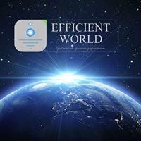 logo-Efficientworld.jpg