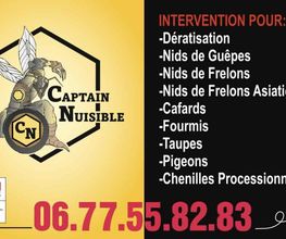 Captain Nuisible image 14