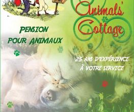 Animal's Cottage image 4