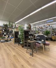 Centrakor Gourdon image 4