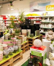 GLOBUS Erfurt-Linderbach Bild 4