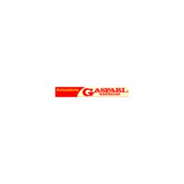 Autosalone Gaspari e Gastaldi logo