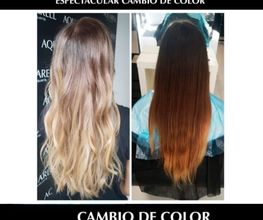 AQUARELL imagen 19