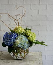 McCarthy - White's Flowers image 9