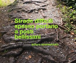 Barbay Susanna terapeuta e formatrice Bild 5