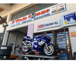 Gallery Cliente