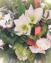 Pailhoux Fleurs image 7